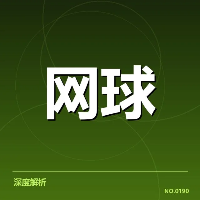 李娜胜场数据的核实与公开记录
